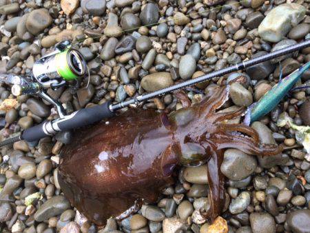 キロ足りナーズ