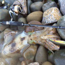 またまたキロ足りナーズ