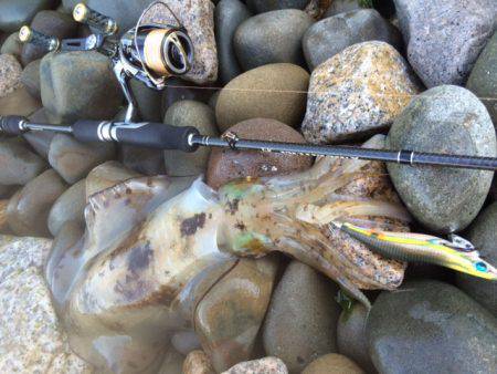 またまたキロ足りナーズ