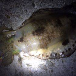 激流の中・・・