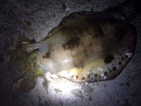 激流の中・・・