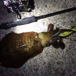 ２投目で・・・その後・・・