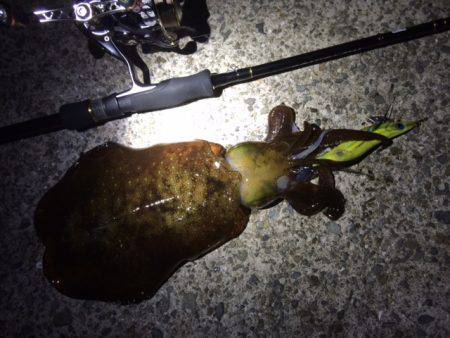 ２投目で・・・その後・・・