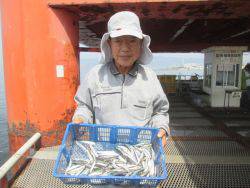 尼崎市立魚つり公園　イワシ回遊中