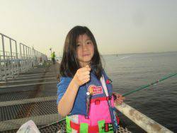 尼崎市立魚つり公園 イワシ回遊中