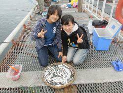 サビキ絶好調です♪　尼崎市立魚つり公園