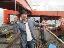 尼崎市立魚つり公園　カタクチイワシ、サッパ