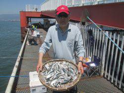 カタクチイワシを１００匹！尼崎市立魚つり公…