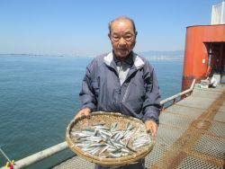 カタクチイワシを100匹!尼崎市立魚つり公園