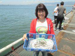 尼崎市立魚つり公園　カタクチイワシ4500…