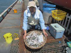 尼崎市立魚つり公園　カタクチイワシ4500匹！