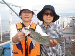 尼崎市立魚つり公園 投稿