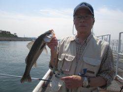 尼崎市立魚つり公園　チヌ狙いが面白くなってきました。