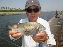 尼崎市立魚つり公園 ズボ釣りでチヌ 兵庫県 瀬戸内海側 尼崎フェニックス 釣り公園 ズボ釣り ぶっこみ クロダイ チヌ 陸っぱり 釣り 魚釣り 釣果情報サイト カンパリ