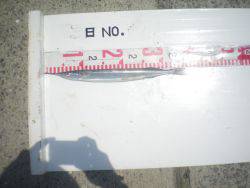 姫路市立遊魚センター　アイナメ、ガシラほか…