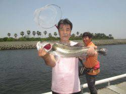 尼崎市立魚つり公園　カタクチイワシ200匹