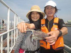 尼崎市立魚つり公園　カタクチイワシ200匹