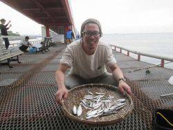 尼崎市立魚つり公園　カタクチイワシ700匹
