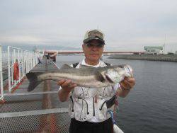 尼崎市立魚つり公園　スズキ 	64 cmほか