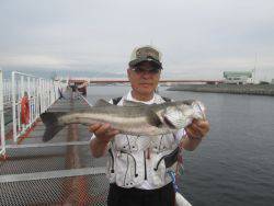 尼崎市立魚つり公園　スズキ 	64 cmほ…