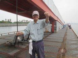 尼崎市立魚つり公園　チヌ、ウミタナゴほか