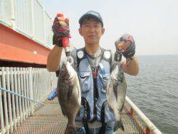 尼崎市立魚つり公園　チヌ、ウミタナゴほか