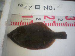 姫路市立遊魚センター　アイナメ、キスほか