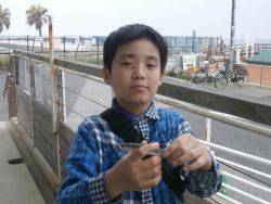 大阪南港海釣り公園　イワシ、ガシラほか