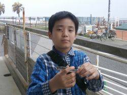 大阪南港海釣り公園　イワシ、ガシラほか