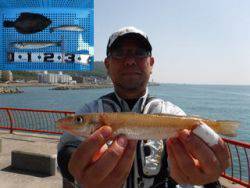 平磯海釣り公園　投げ釣りでカレイ＆キス