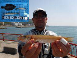 平磯海釣り公園　投げ釣りでカレイ＆キス