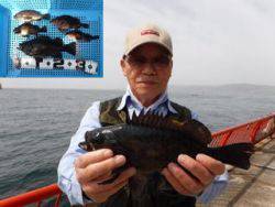 平磯海釣り公園　落とし込みでメバル・ガシラ