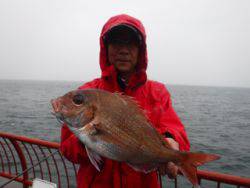 平磯海づり公園でマダイ！