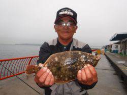 平磯海釣り公園　雨天の投げ釣りでカレイ