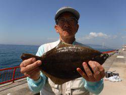 神戸市立平磯海づり公園　投げ釣りでカレイ