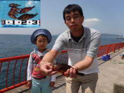 平磯海釣り公園 サビキでガシラ7尾の釣果 兵庫県 瀬戸内海側 神戸市立平磯海づり公園 サビキ カサゴ ガシラ 陸っぱり 釣り 魚釣り 釣果情報サイト カンパリ