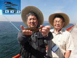 神戸市立平磯海づり公園　ベラ、ガシラ