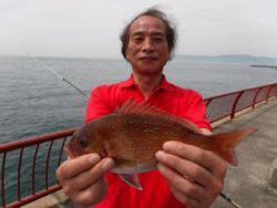 神戸市立平磯海づり公園　投げ釣りでマダイ