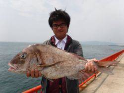 神戸市立平磯海づり公園　マダイ　記録賞！　74.5㎝