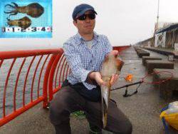 神戸市立平磯海づり公園　エギングでアオリ