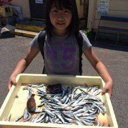 マリーナシティ海釣り公園　サビキでイワシ180尾