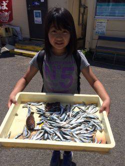 マリーナシティ海釣り公園　サビキでイワシ1…