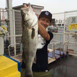 マリーナシティ海釣り公園、鉄板でシーバス