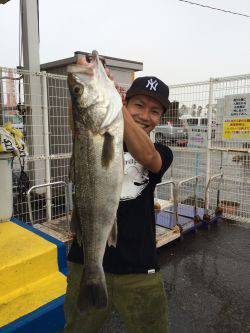 マリーナシティ海釣り公園、鉄板でシーバス