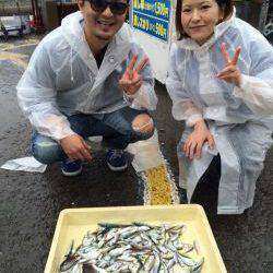 雨のマリーナシティでサビキ釣り