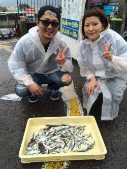 雨のマリーナシティでサビキ釣り