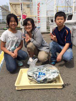 イワシ絶好釣！！マリーナシティ海釣り公園