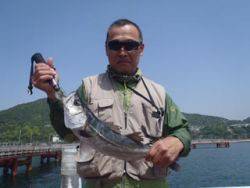 神戸市立須磨海づり公園　ハネ 	48cm