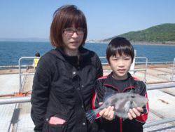 須磨海釣り公園　胴突きでウマヅラハギ31cm
