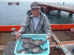 ウマヅラ大漁！　神戸市立須磨海づり公園